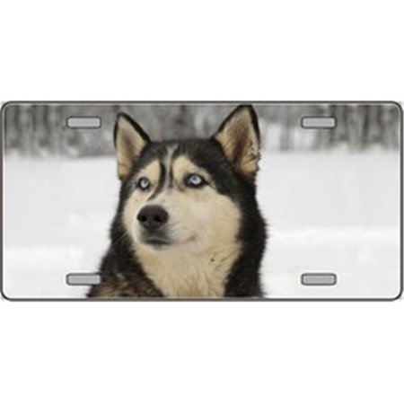 POWERHOUSE Husky Dog Pet Novelty License Plates- Full Color Photography License Plates PO686174